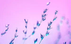 Pastel Flora Artistry Wallpaper