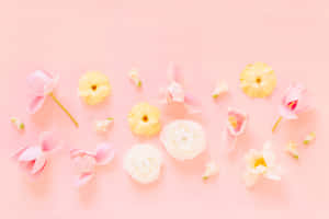 Pastel Floral Arrangement Pink Background Wallpaper