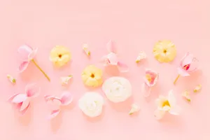Pastel Floral Arrangement Pink Background Wallpaper