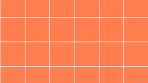 Pastel Orange Aesthetic Gridline Wallpaper
