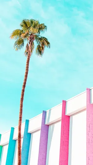 Pastel Palmand Colorful Walls Wallpaper