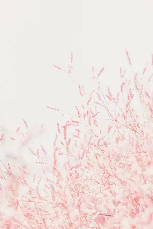 Pastel Phone Small Pink Flowers Wallpaper