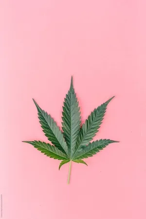 Pastel Pink Background Weed Aesthetic Wallpaper