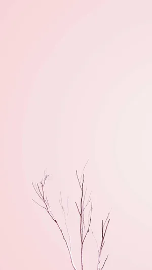 Pastel Pink Bare Branches Minimalism.jpg Wallpaper