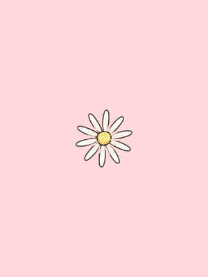 Pastel Pink Daisy Illustration Wallpaper