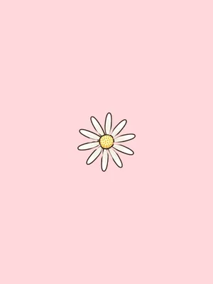 Pastel Pink Daisy Illustration Wallpaper