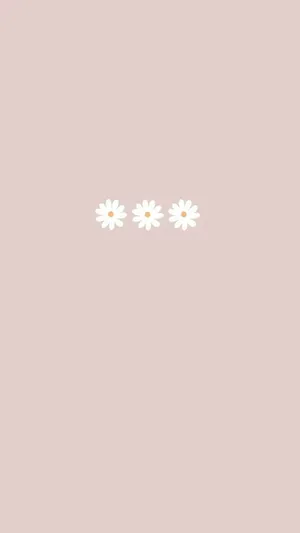 Pastel Pink Daisy Trio Wallpaper