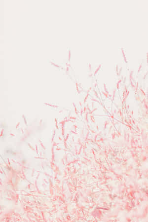 Pastel Pink Floral Dreaminess Wallpaper