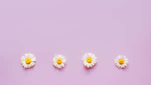 Pastel Purple Daisy Row Wallpaper