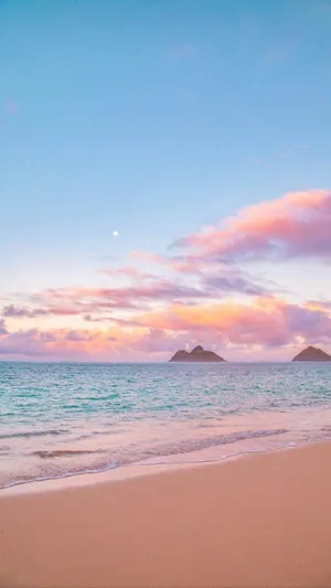 Pastel Rainbow-colored Smartphones Lined Up Wallpaper