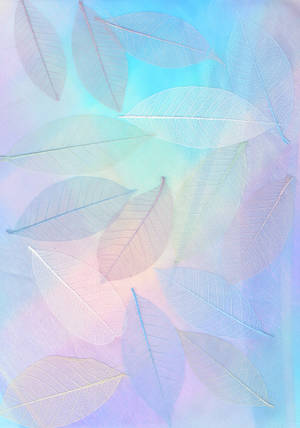 Pastel Skeleton Leaves Background Wallpaper