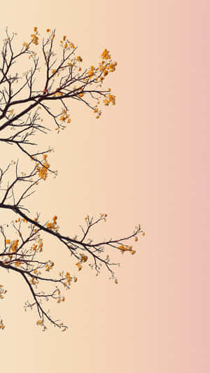 Pastel Sky Floral Branches Wallpaper