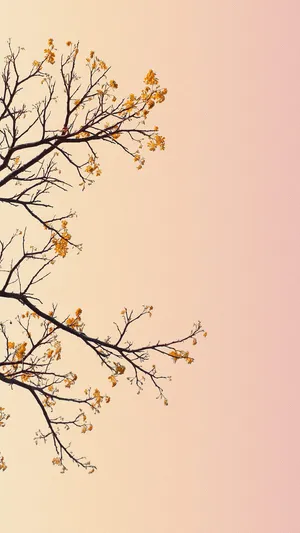 Pastel Sky Floral Branches Wallpaper