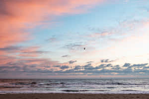 Pastel Sunset Beachscape Wallpaper