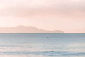 Pastel Sunset Paddleboarder.jpg Wallpaper