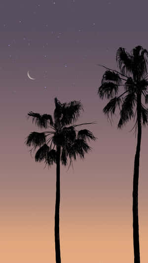 Pastel Sunset Palmsand Crescent Moon Wallpaper