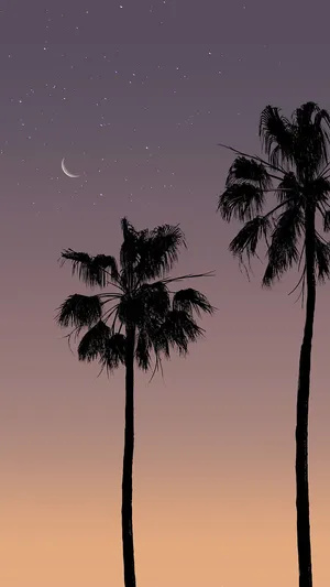Pastel Sunset Palmsand Crescent Moon Wallpaper