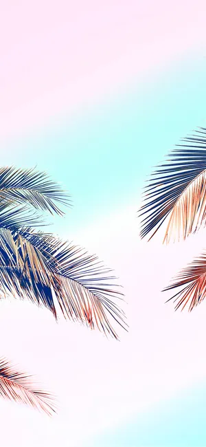 Pastel Toned Palm Fronds Background Wallpaper