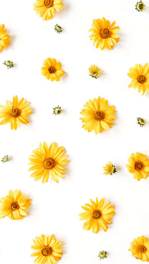 Pastel Yellow Daisies Pattern Wallpaper