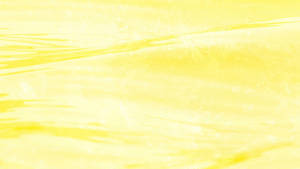 Pastel Yellow Iridescent Background Wallpaper