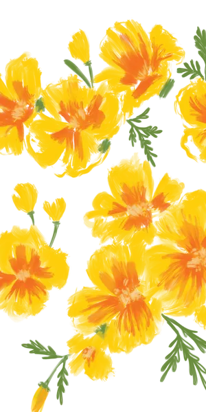 Pastel Yellow Poppy Flowers Wallpaper