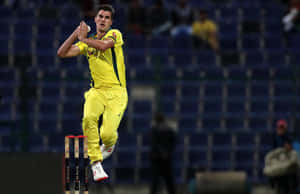 Pat Cummins Wallpaper