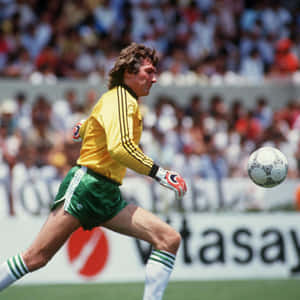 Pat Jennings 1986 Fifa World Cup Wallpaper