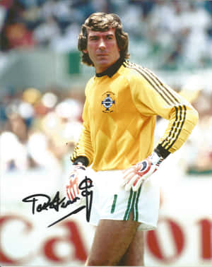 Pat Jennings Northern Ireland World Cup 1986 Wallpaper