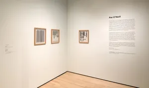 Pat O Neill Art Exhibition S F M O M A Wallpaper