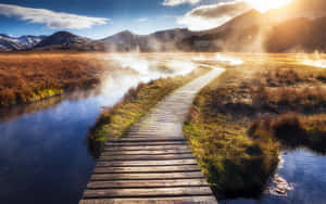 Path By The River Wallpaper