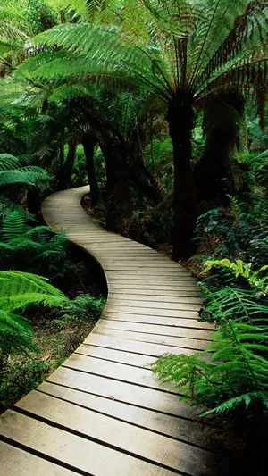 Path In A Greenery Garden Wallpaper