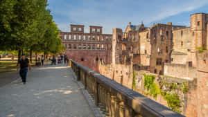 Pathway Overlooking Heidelberg Castle Wallpaper