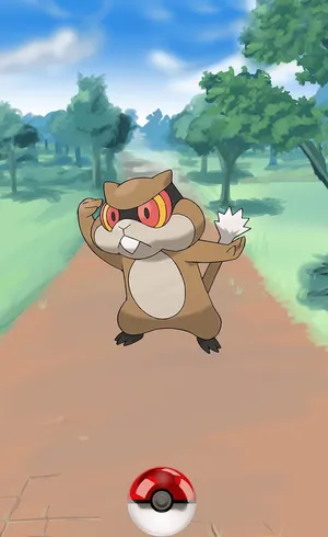 Patrat And A Poke Ball Wallpaper