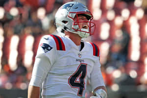 Patriots Quarterback Bailey Zappe Game Day Wallpaper