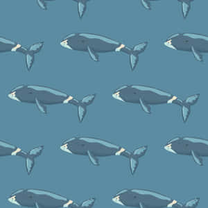 Patterned Bowhead Whales Illustration Wallpaper