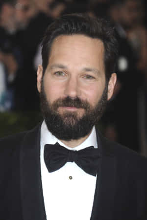 Paul Rudd In A Suit Wallpaper