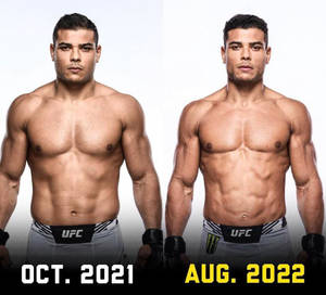 Paulo Costa Body Training Wallpaper