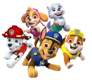 Paw Patrol Characters Group Image Wallpaper