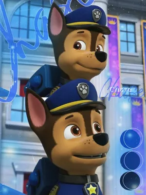 Paw Patrol - Paw Patrol - Paw Patrol - Paw Patrol - Paw Patrol - Paw Patrol - Paw Wallpaper