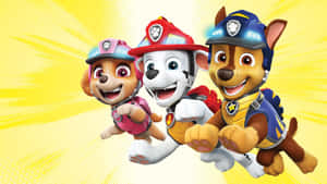 Paw Patrol Team Heroic Pose Wallpaper