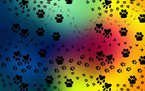 Paw Prints Gradient Wallpaper