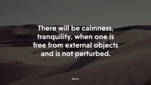Peace Comes From Not Being Perturbed Wallpaper