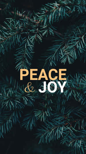 Peace Iphone 1440 X 2561 Wallpaper