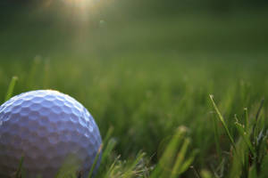 Peaceful Golfing Desktop Wallpaper