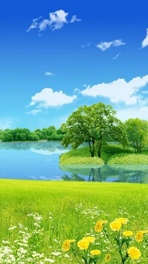 Peaceful Meadow Nature Android Hd Wallpaper