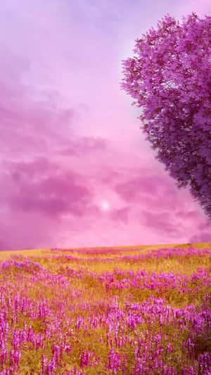 Peaceful Pink Meadow Nature Android Hd Wallpaper