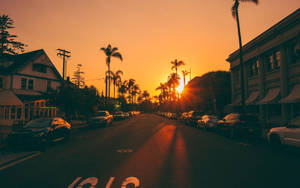 Peaceful Street During Neon Yellow Sunset Wallpaper