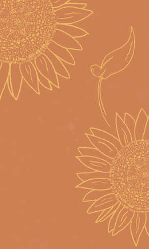 Peach Colored Sunflower Aesthetic Iphone Wallpaper