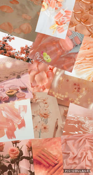 Peach Roses - A Collage Of Pictures Wallpaper