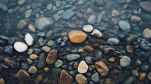 Pebbles Submergedin Clear Water Wallpaper